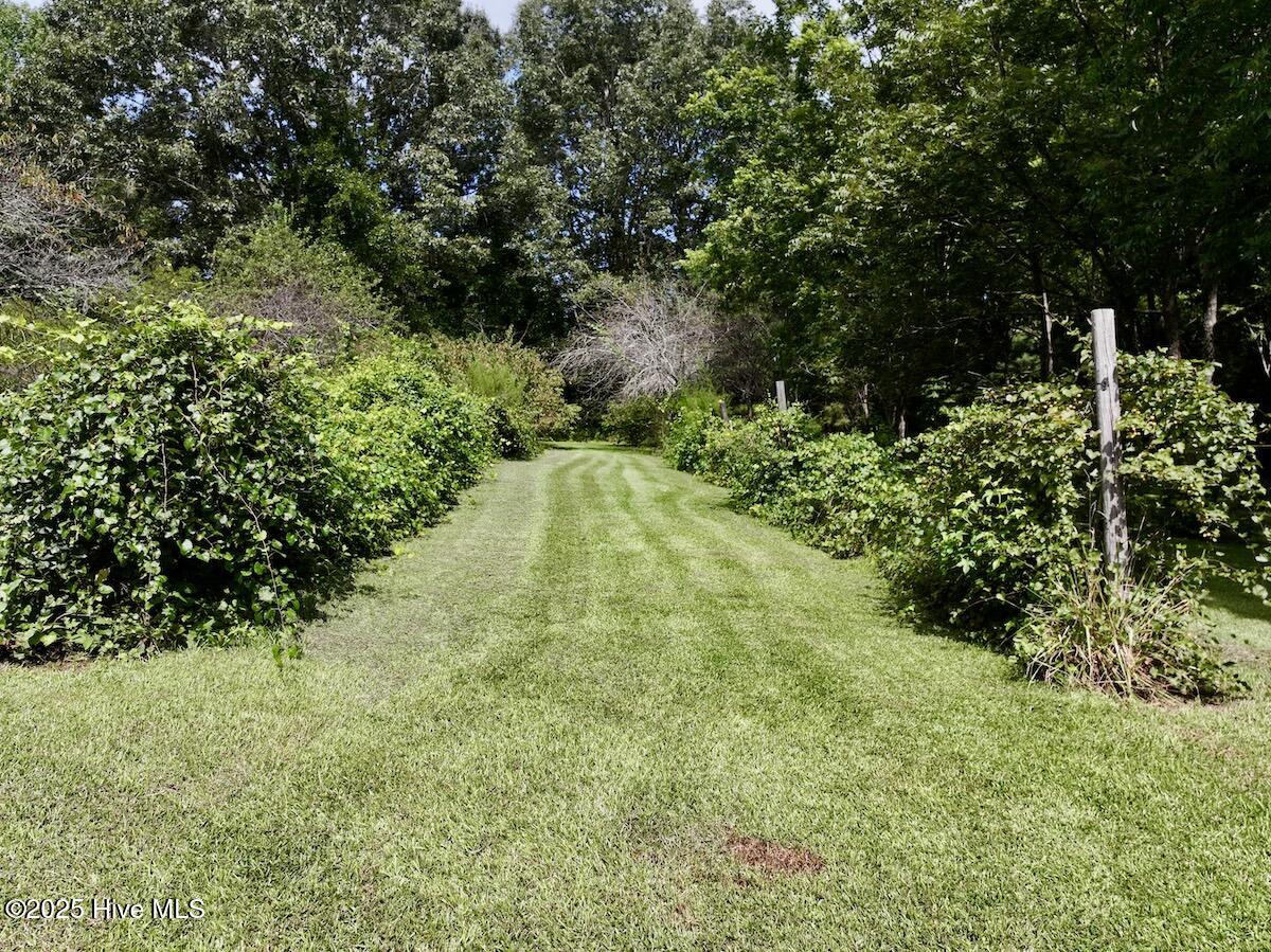 1004 No Bottom Road Warrenton, NC 27589 - Photo 4 of 85 4