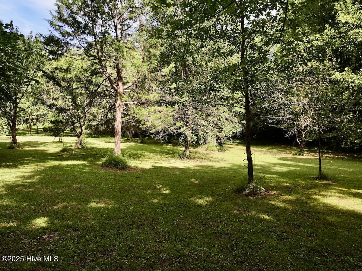 1004 No Bottom Road Warrenton, NC 27589 - Photo 50 of 85 51