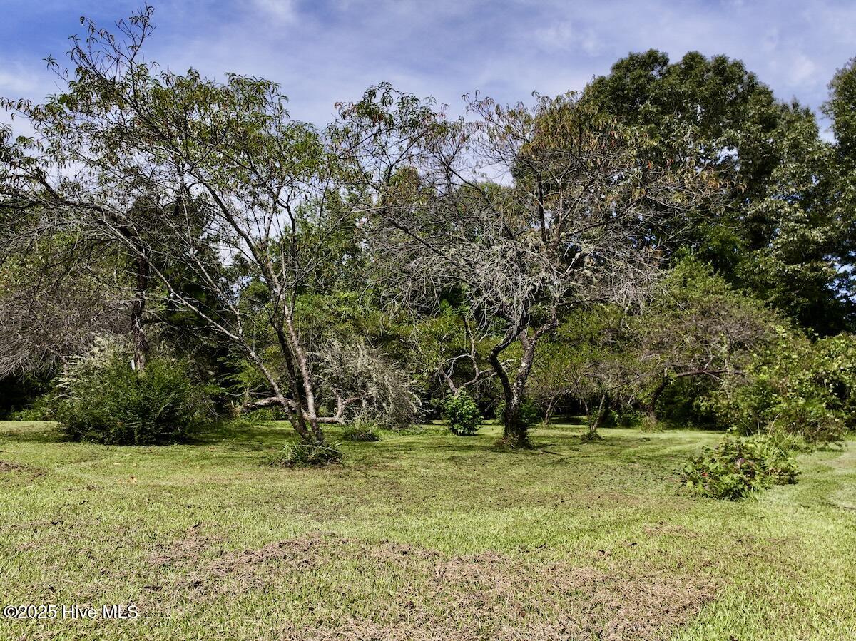 1004 No Bottom Road Warrenton, NC 27589 - Photo 5 of 85 5