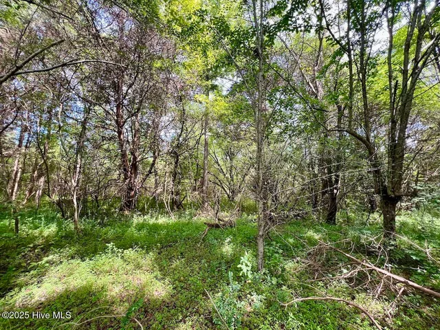 $414,900 | 1004 No Bottom Road, Warrenton, NC 27589