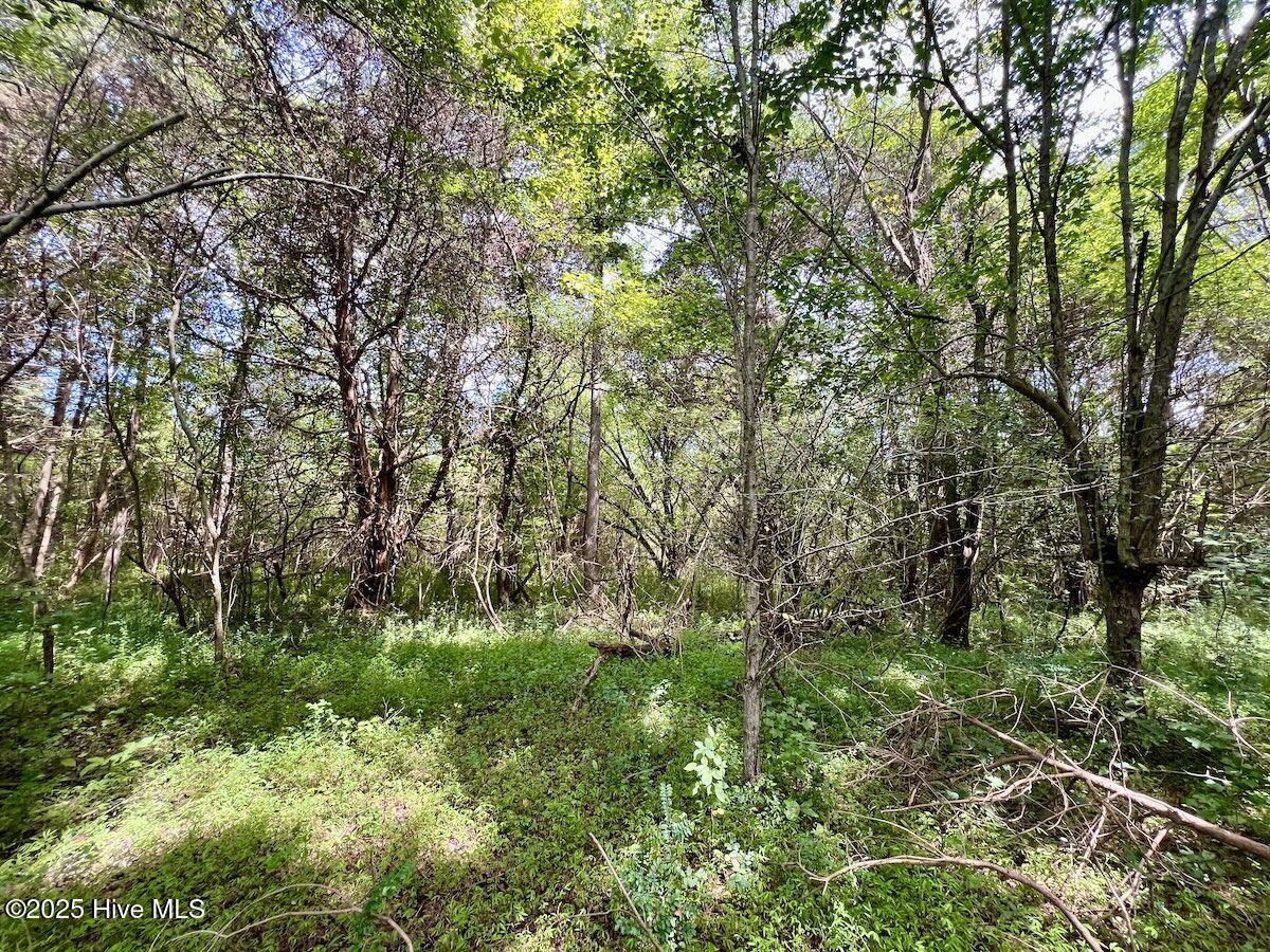 1004 No Bottom Road Warrenton, NC 27589 - Photo 81 of 85 39