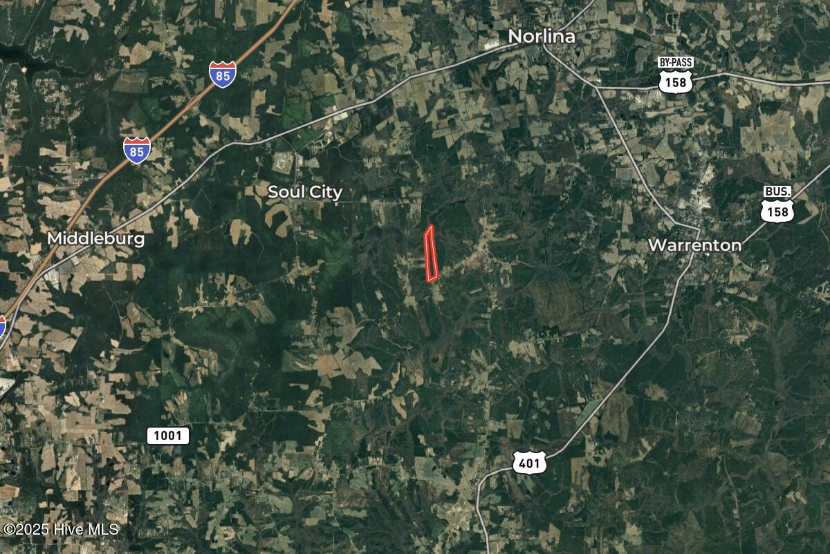 1004 No Bottom Road Warrenton, NC 27589 - Photo 84 of 85 aerial expanded