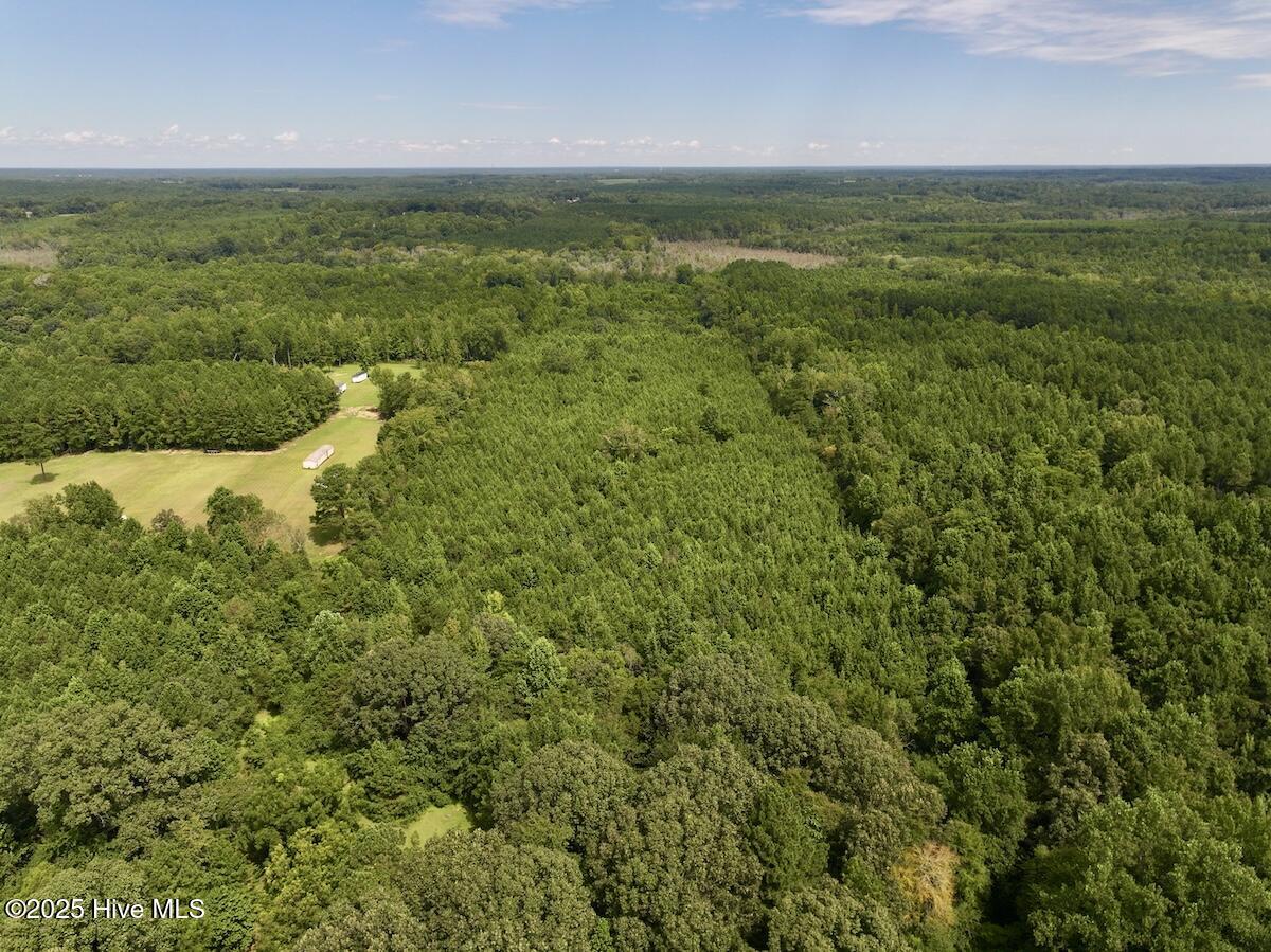 1004 No Bottom Road Warrenton, NC 27589 - Photo 10 of 85 10