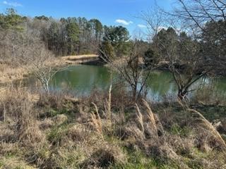 0 Busby Church Road Nauvoo, AL 35578 - Photo 14 of 24 Gallery Image 14