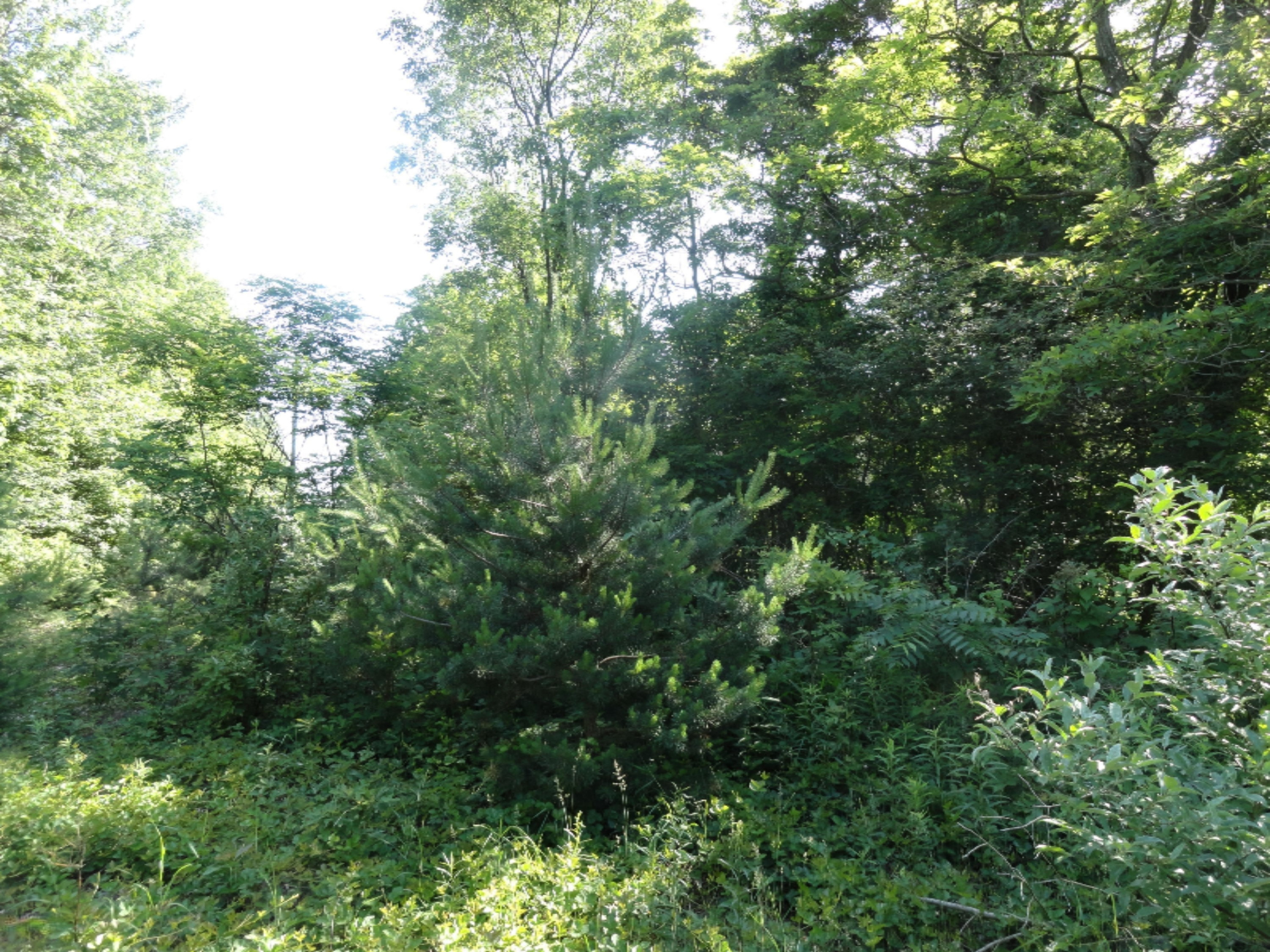 4282 Beeline Road Holland, MI 49423 - Photo 1 of 8 DSC03808