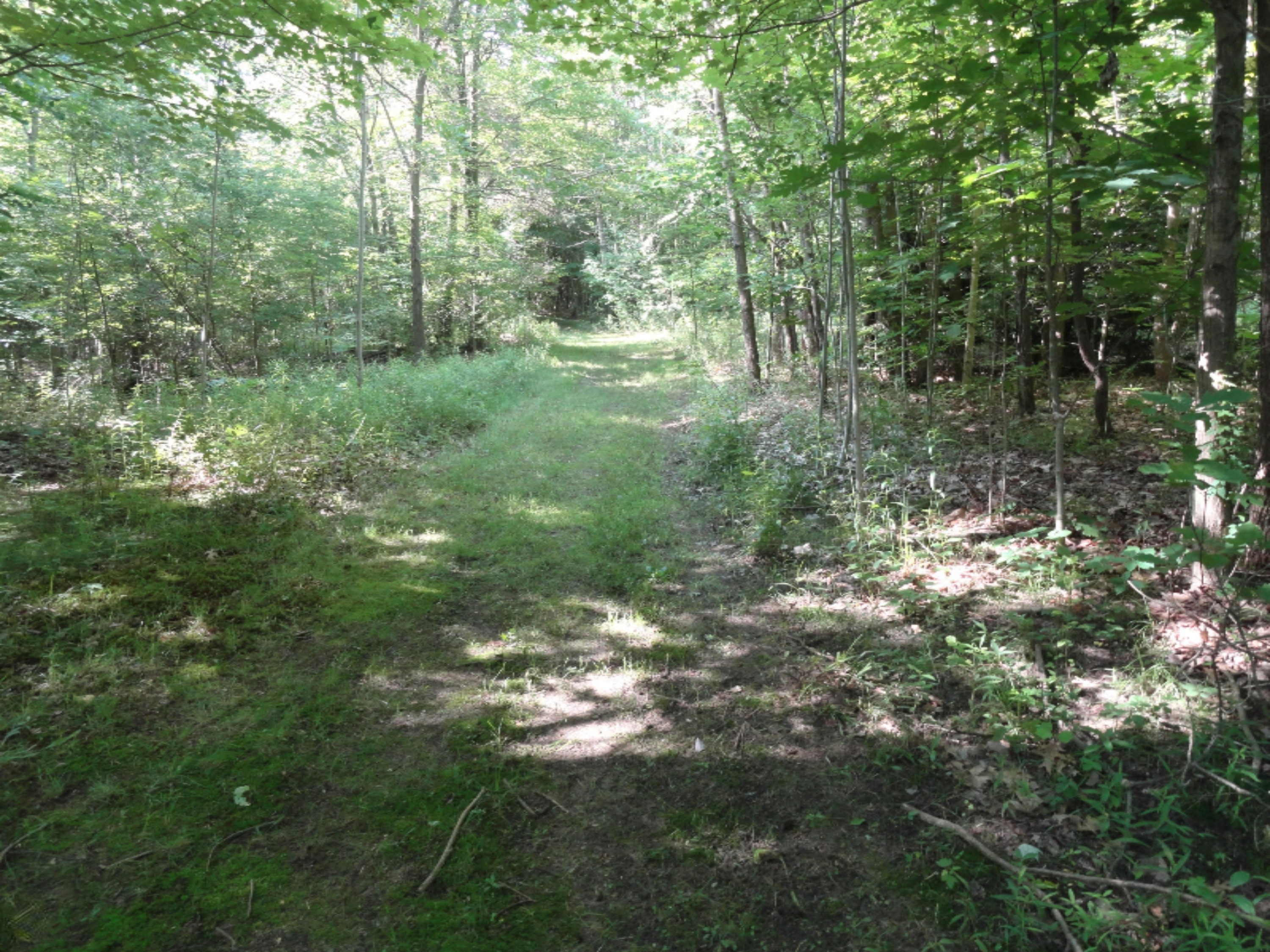 4282 Beeline Road Holland, MI 49423 - Photo 5 of 8 DSC03807
