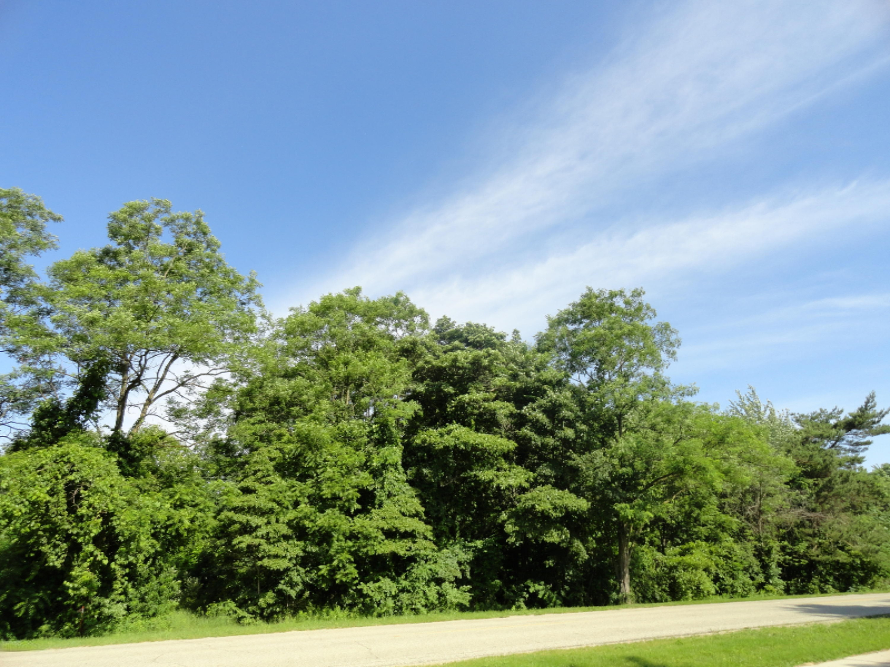 4282 Beeline Road Holland, MI 49423 - Photo 6 of 8 DSC03810