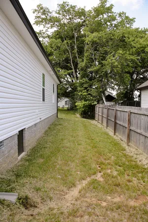 a backyard of a house with plants and large tree