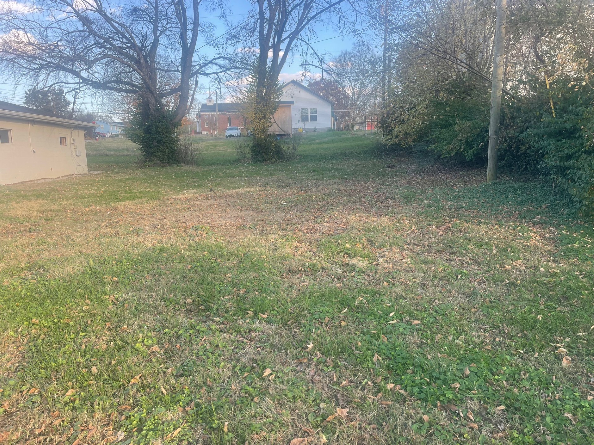 506 West 15th Avenue Springfield, TN 37172 - Photo 7 of 8 a view of a backyard with large trees