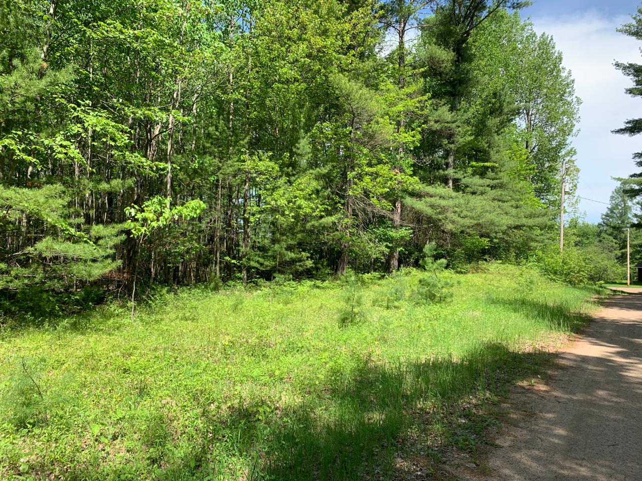 Lot 1 Somo Ridge Road Tomahawk, WI 54487 - Photo 3 of 12 Gallery Image 3