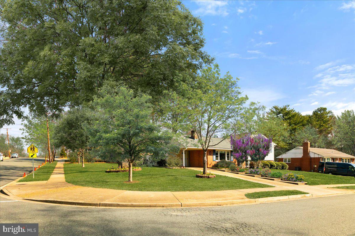 8016 Gosport Lane Springfield, VA 22151 - Photo 38 of 38