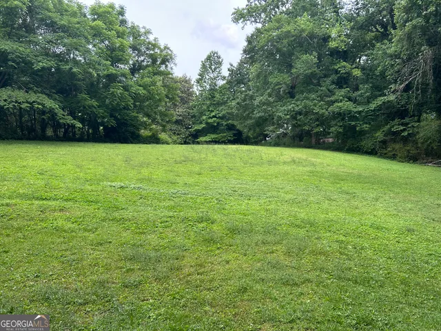 a view of a yard with a trees