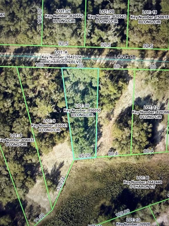 Long Circle Webster, FL 33597 - Photo 10 of 11