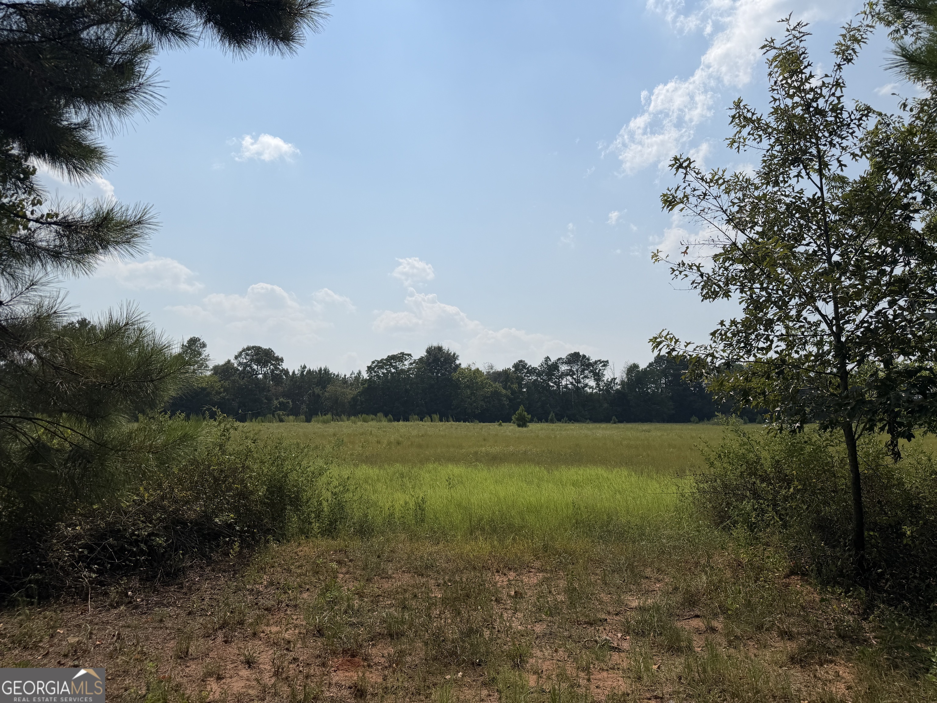 14 South Carter Fish Pond Road Plains, GA 31780 - Photo 7 of 10 Gallery Image 7