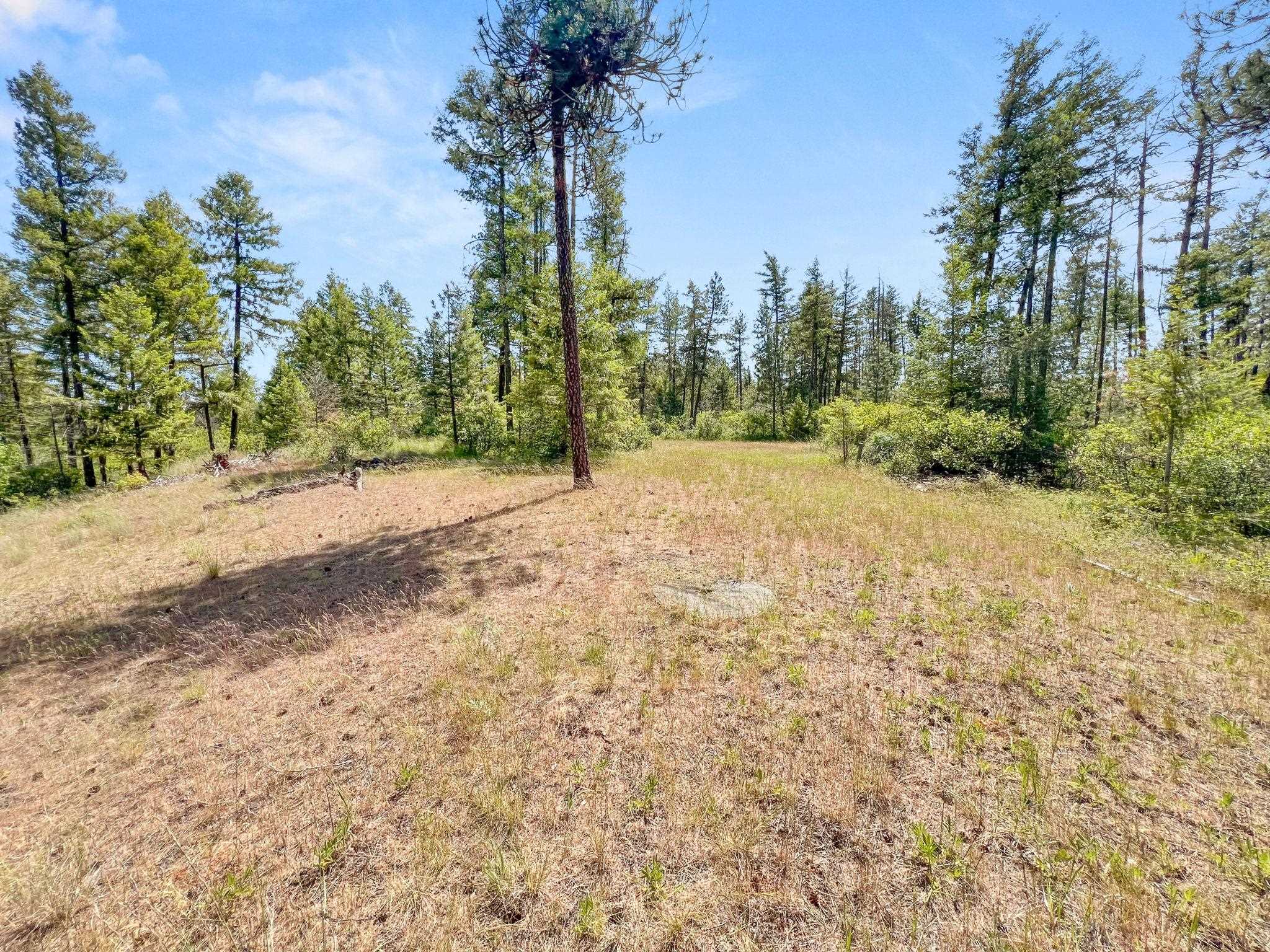0 West Highland Road Ford, WA 99013 - Photo 27 of 41