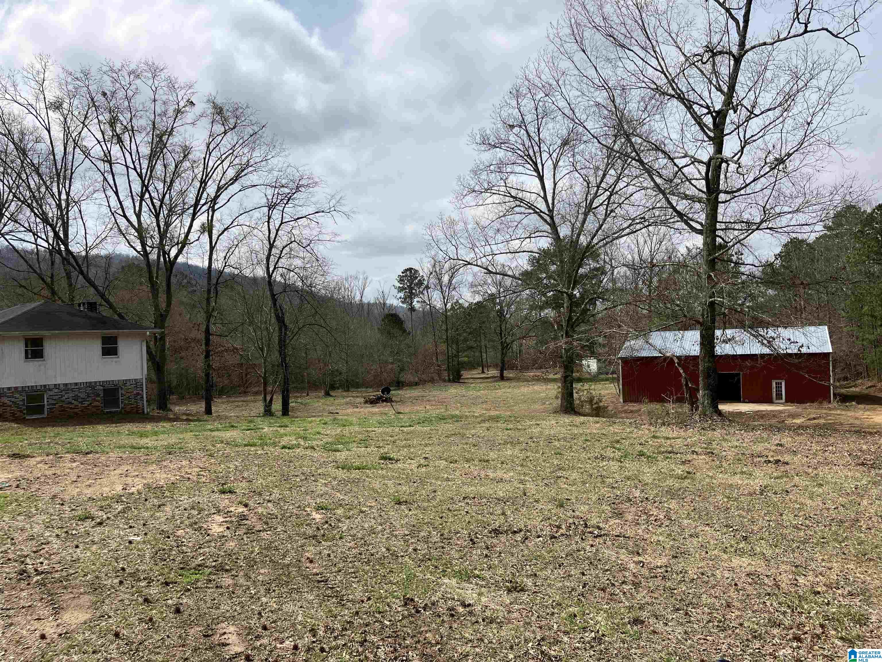 4624 Greensport Road Ashville, AL 35953 - Photo 29 of 37
