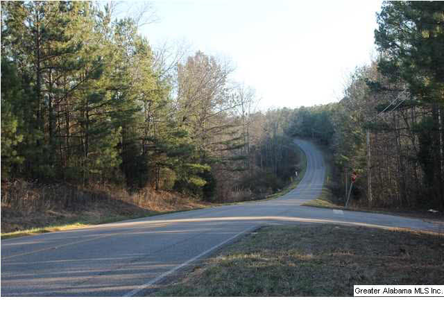 59 County Road, Unit 31 Woodland, AL 36280 - Photo 2 of 3