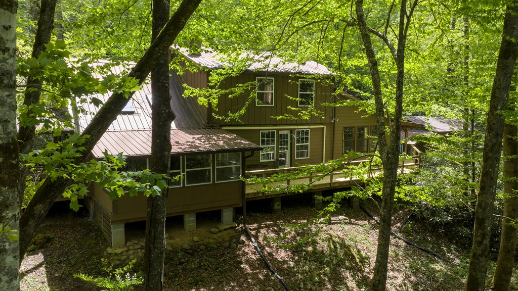 4700 West Buffalo Road Robbinsville, NC 28771 - Photo 5 of 20