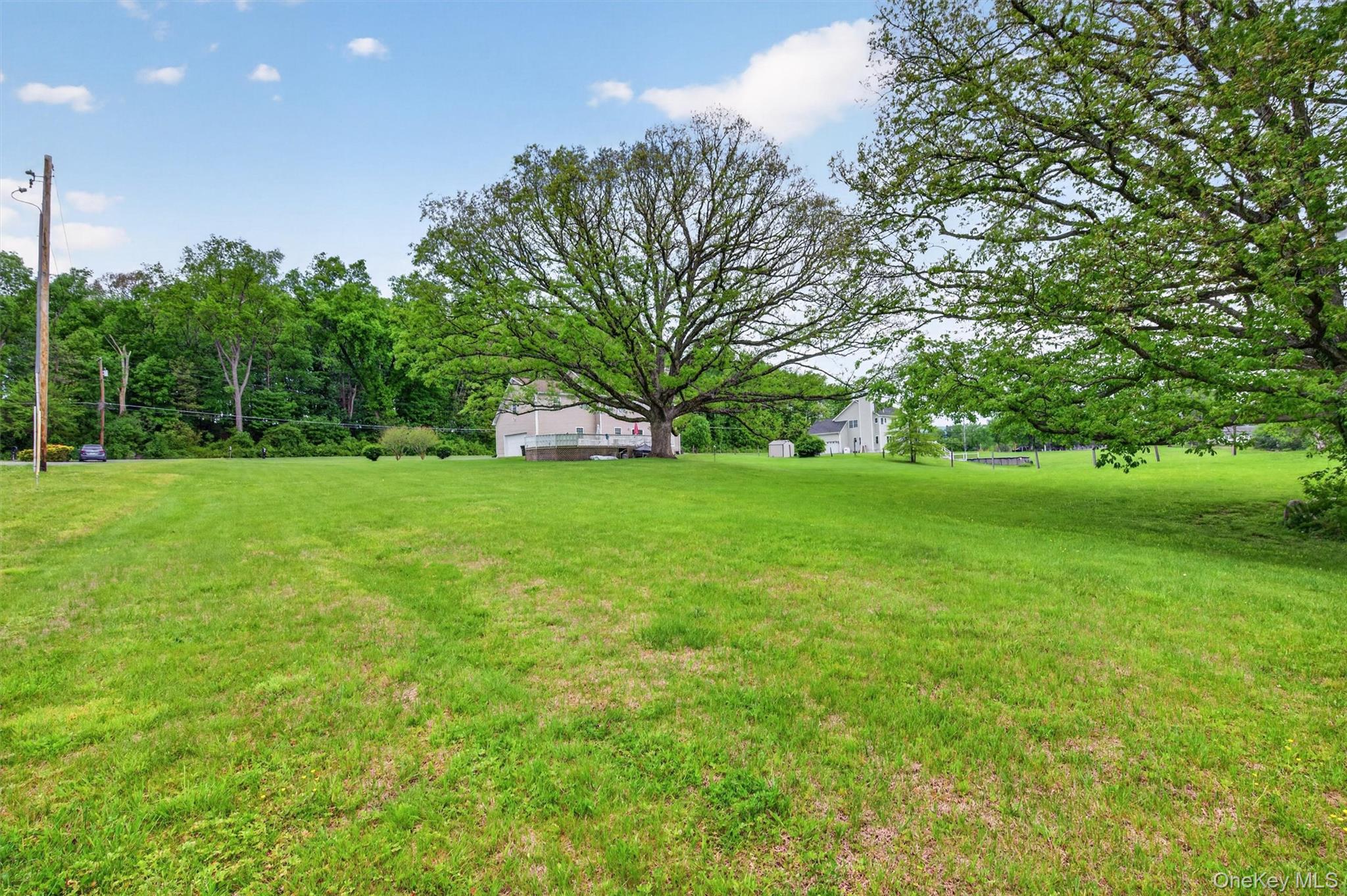 19 Pirog Road Pine Bush, NY 12566 - Photo 48 of 50 a view of a trees with a big yard