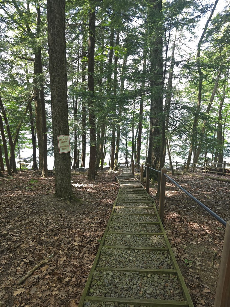 Lippitt Development Road Cooperstown, NY 13326 - Photo 4 of 5 Shared lake rights