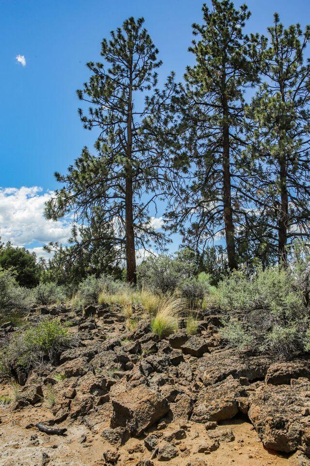 60604 Woodside Road Bend, OR 97702 - Photo 82 of 99 approx 3 acre unirrigated area between pond and woodside road creates even more privacy