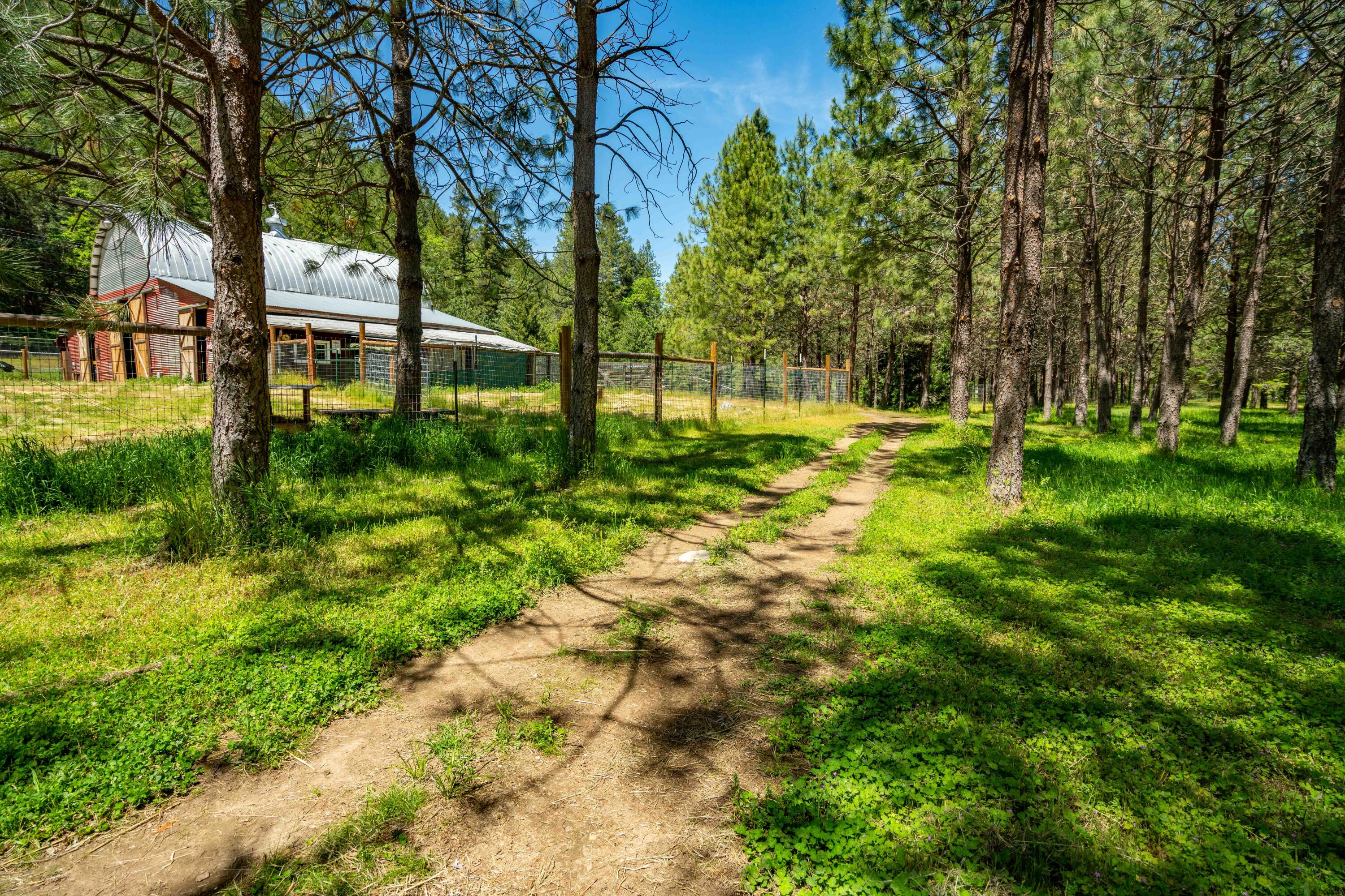 4137 Thompson Creek Road Jacksonville, OR 97530 - Photo 44 of 62 26i