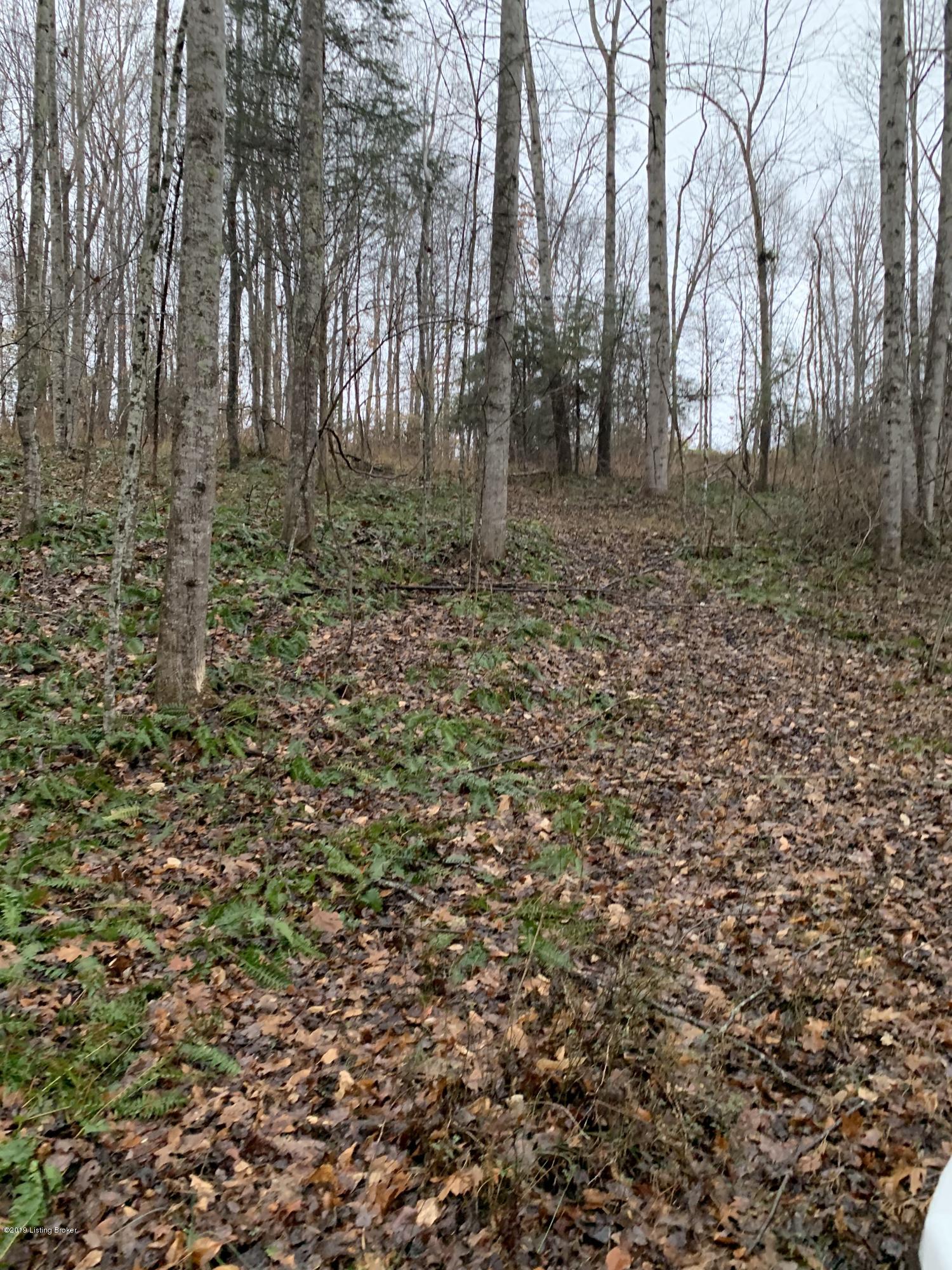 200 Willard Stone Road Breeding, KY 42715 - Photo 7 of 23 093
