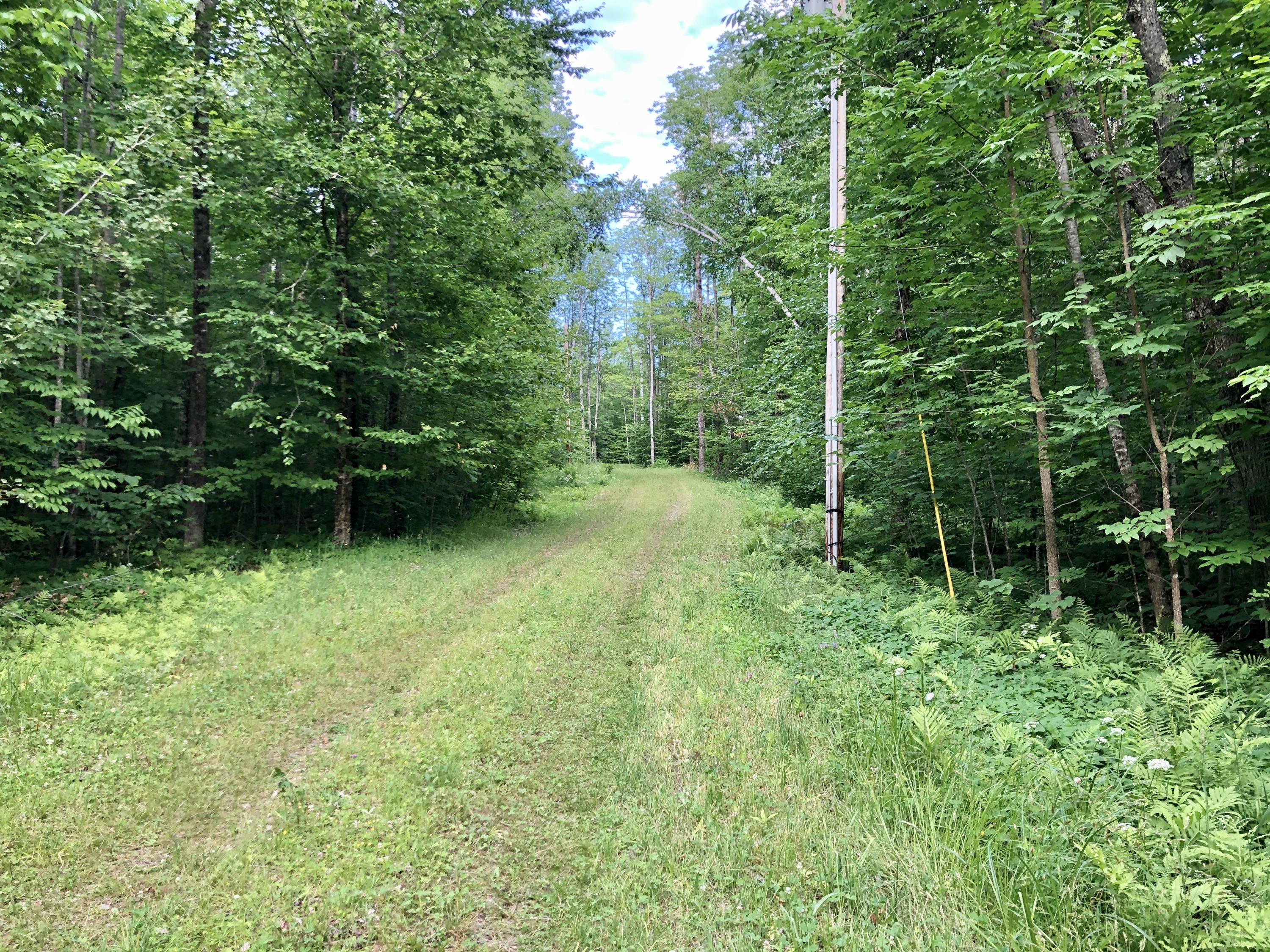 506 Pond Road St. Albans, ME 04971 - Photo 21 of 38 2020-06-27 19.13.01-1