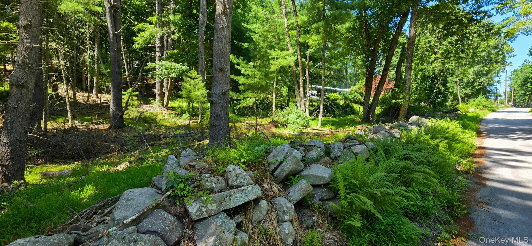 Lot # 7 Irishtown Road Narrowsburg, NY 12764 - Photo 5 of 6 Gallery Image 5
