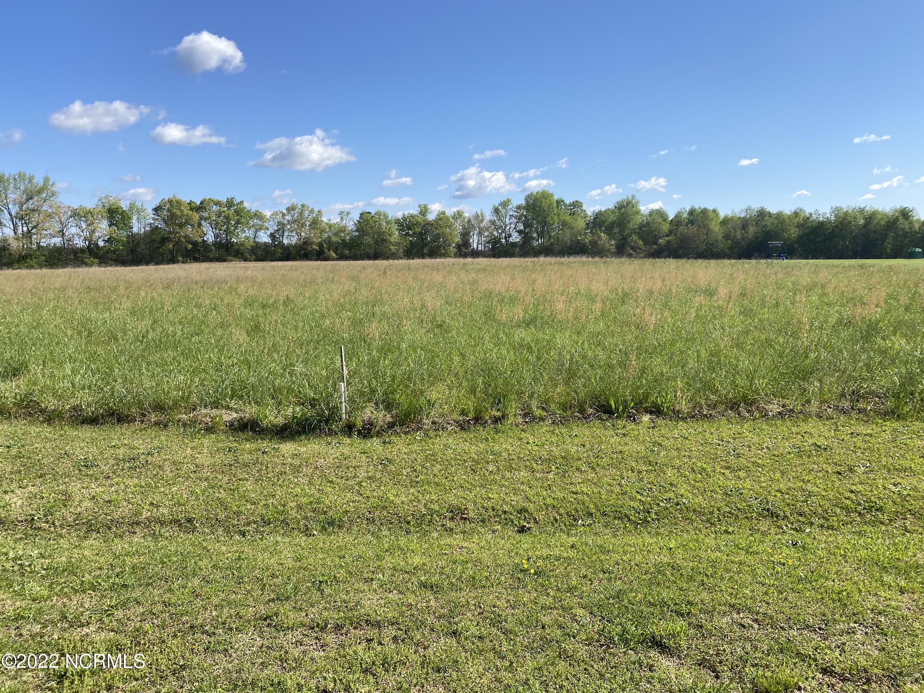 Lot 25 Shearin Road Whitakers, NC 27891 - Photo 1 of 1 lot 25 shearin rd
