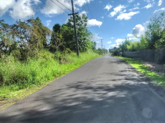 1209 Malaai Road Hilo, HI 96720 - Photo 1 of 4 a view of a street both side of yard