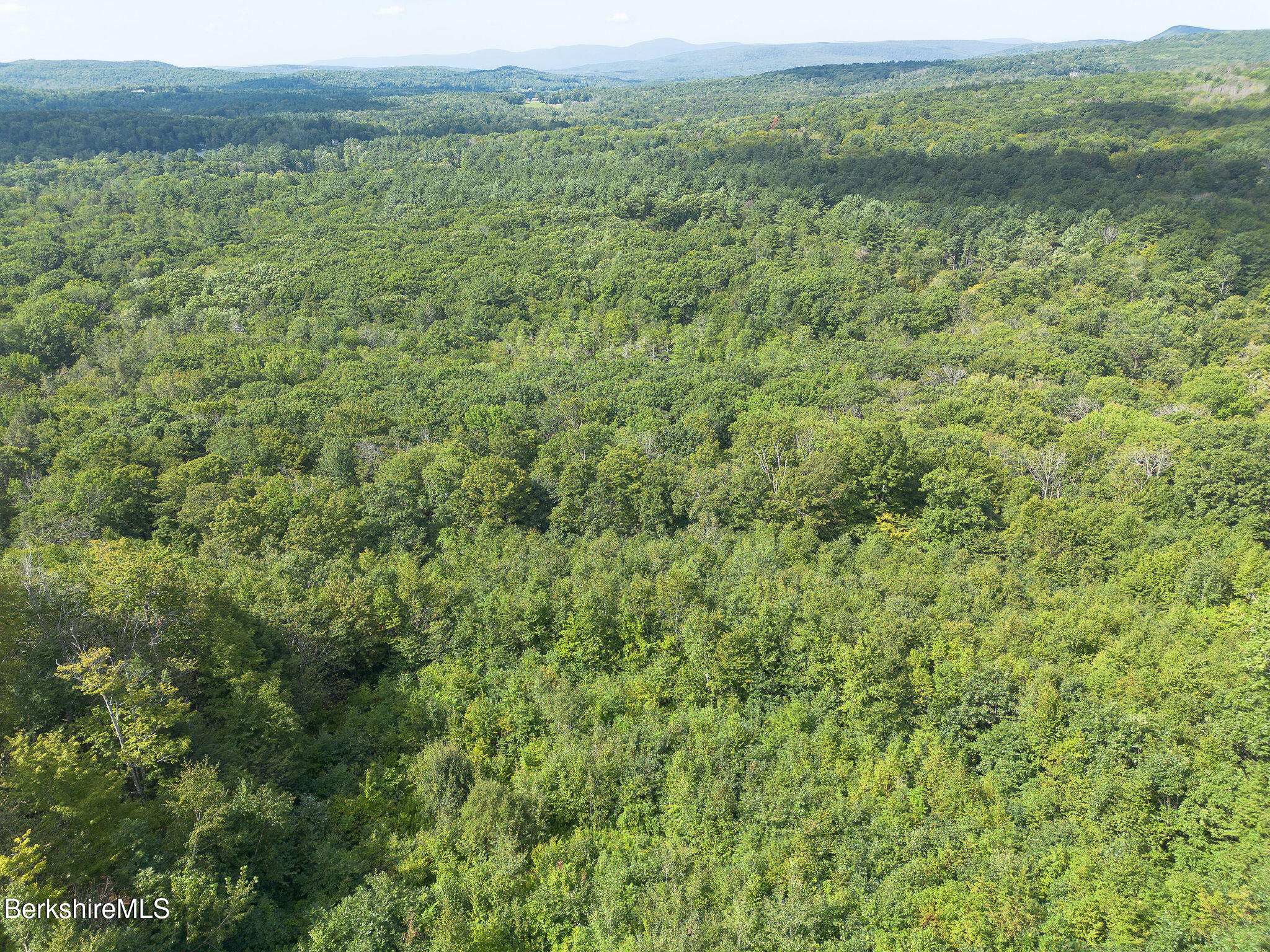 0 Mt Hunger Road Monterey, MA 01245 - Photo 12 of 14 0013