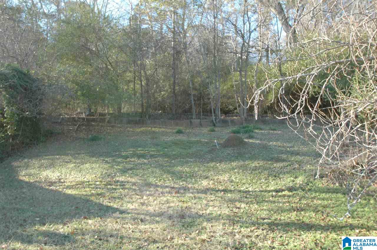 State Road Oneonta, AL 35121 - Photo 1 of 3