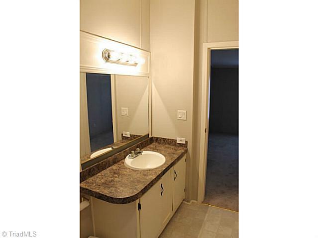 4181 Plum Tree Road Climax, NC 27233 - Photo 10 of 16 Master Bath/Spa. updated counter tops and large vanity