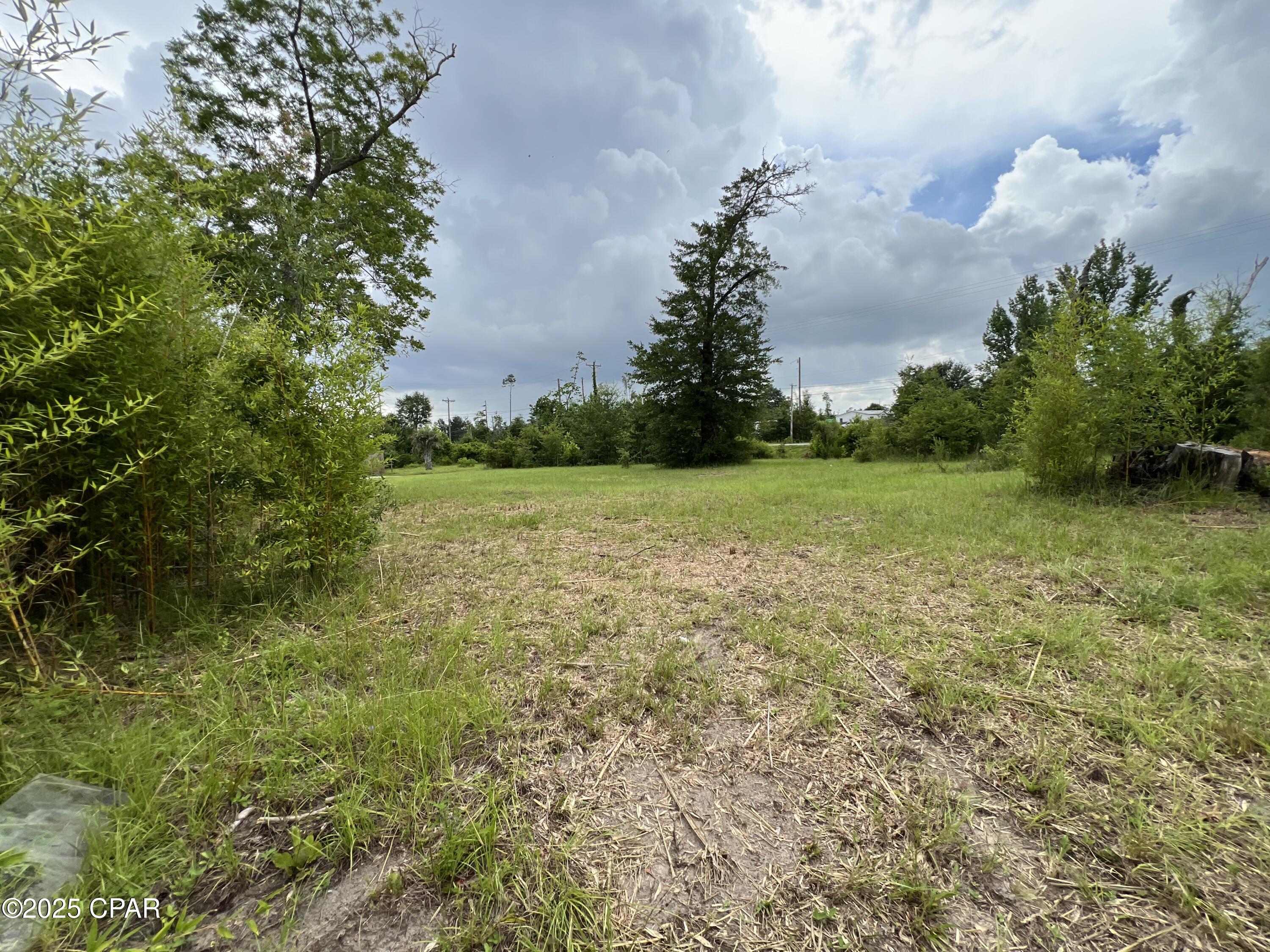 6807 John Pitts Road Panama City, FL 32404 - Photo 2 of 9