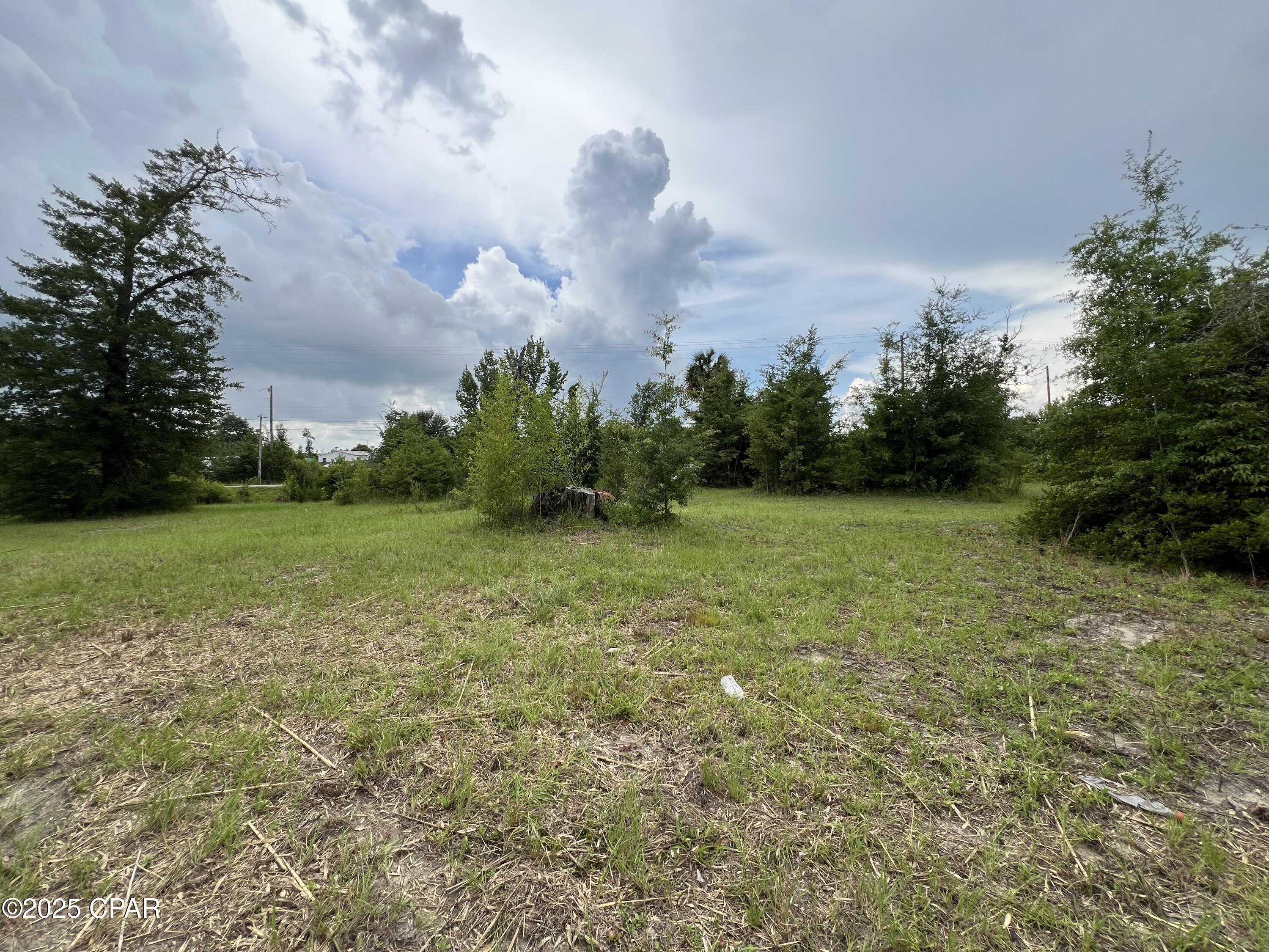 6807 John Pitts Road Panama City, FL 32404 - Photo 3 of 9