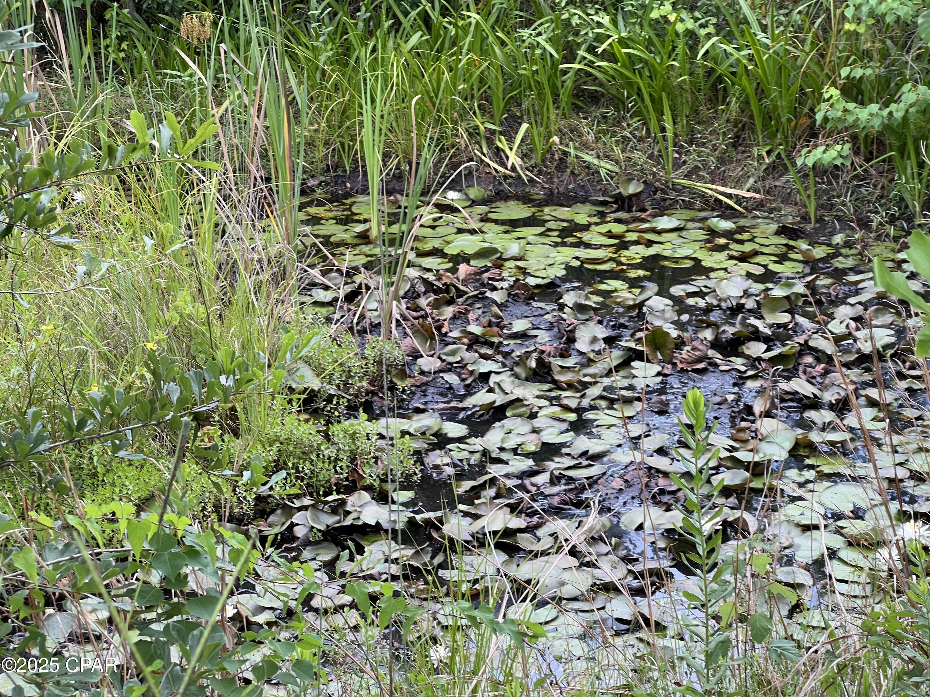 6807 John Pitts Road Panama City, FL 32404 - Photo 4 of 9