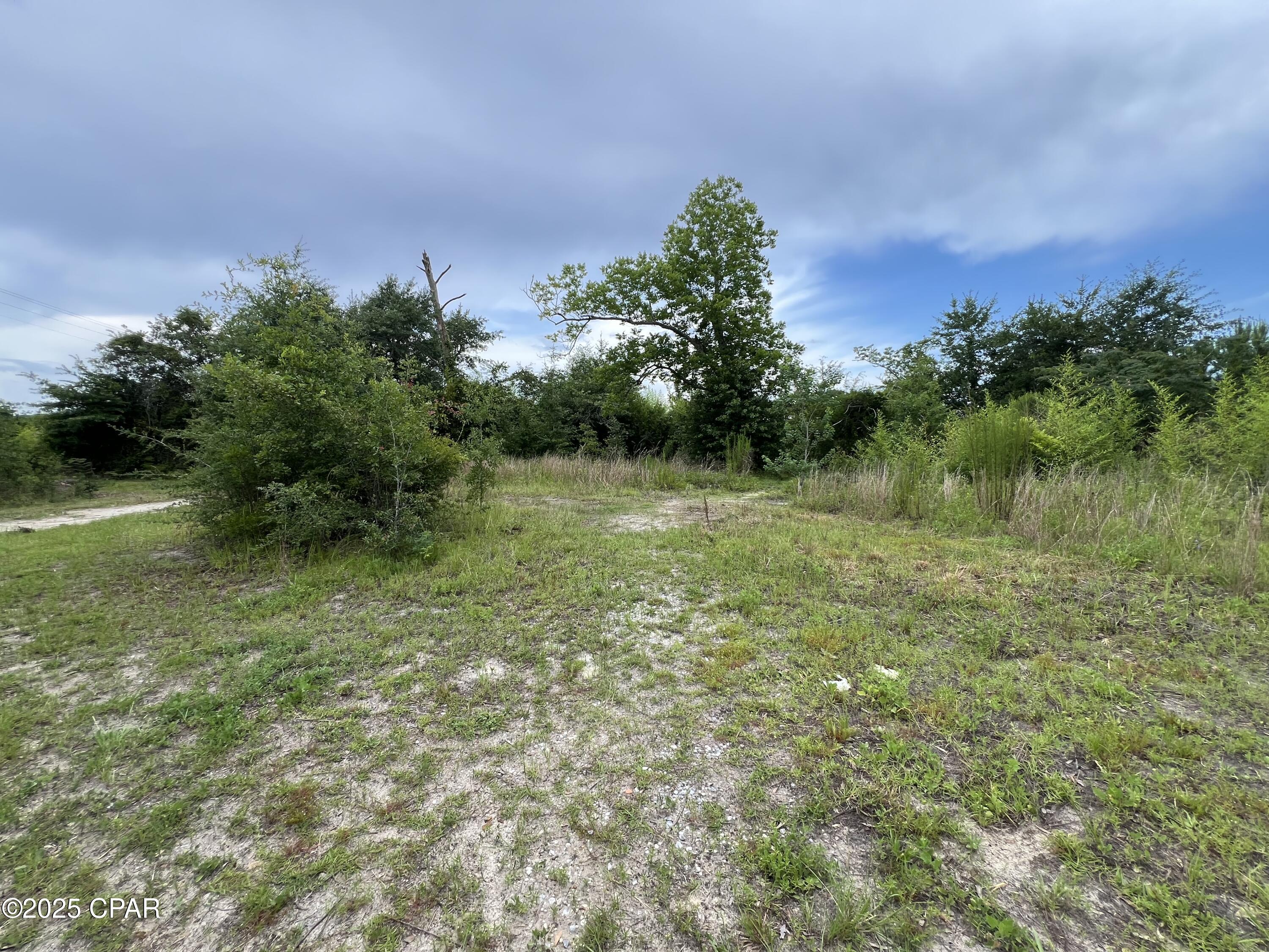 6807 John Pitts Road Panama City, FL 32404 - Photo 6 of 9