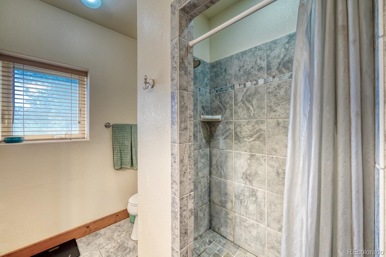 30800 West Ridge Road Buena Vista, CO 81211 - Photo 18 of 49 a bathroom with a shower