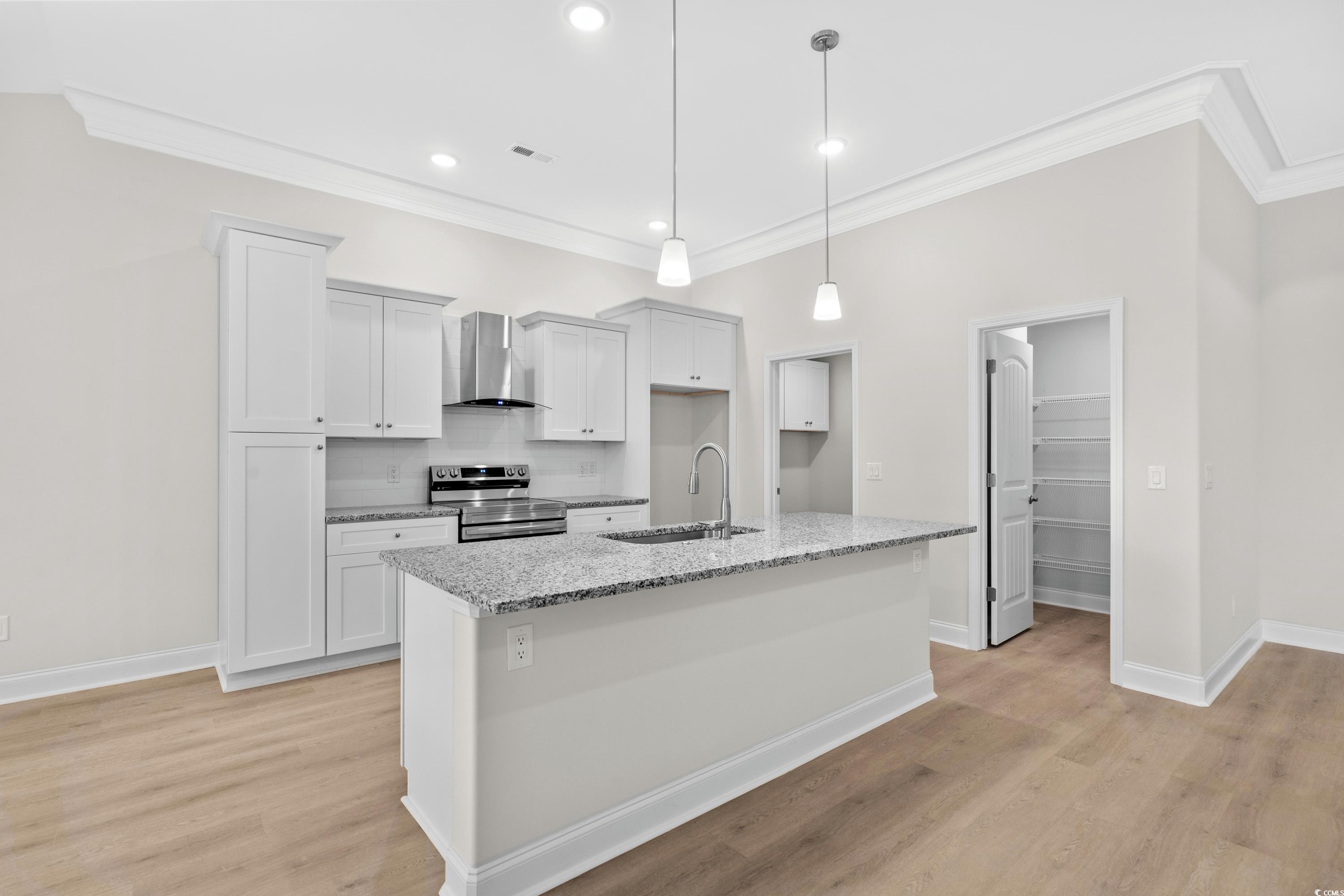 3013 Fiddler Court Loris, SC 29569 - Photo 9 of 30 Kitchen featuring sink, stainless steel range with