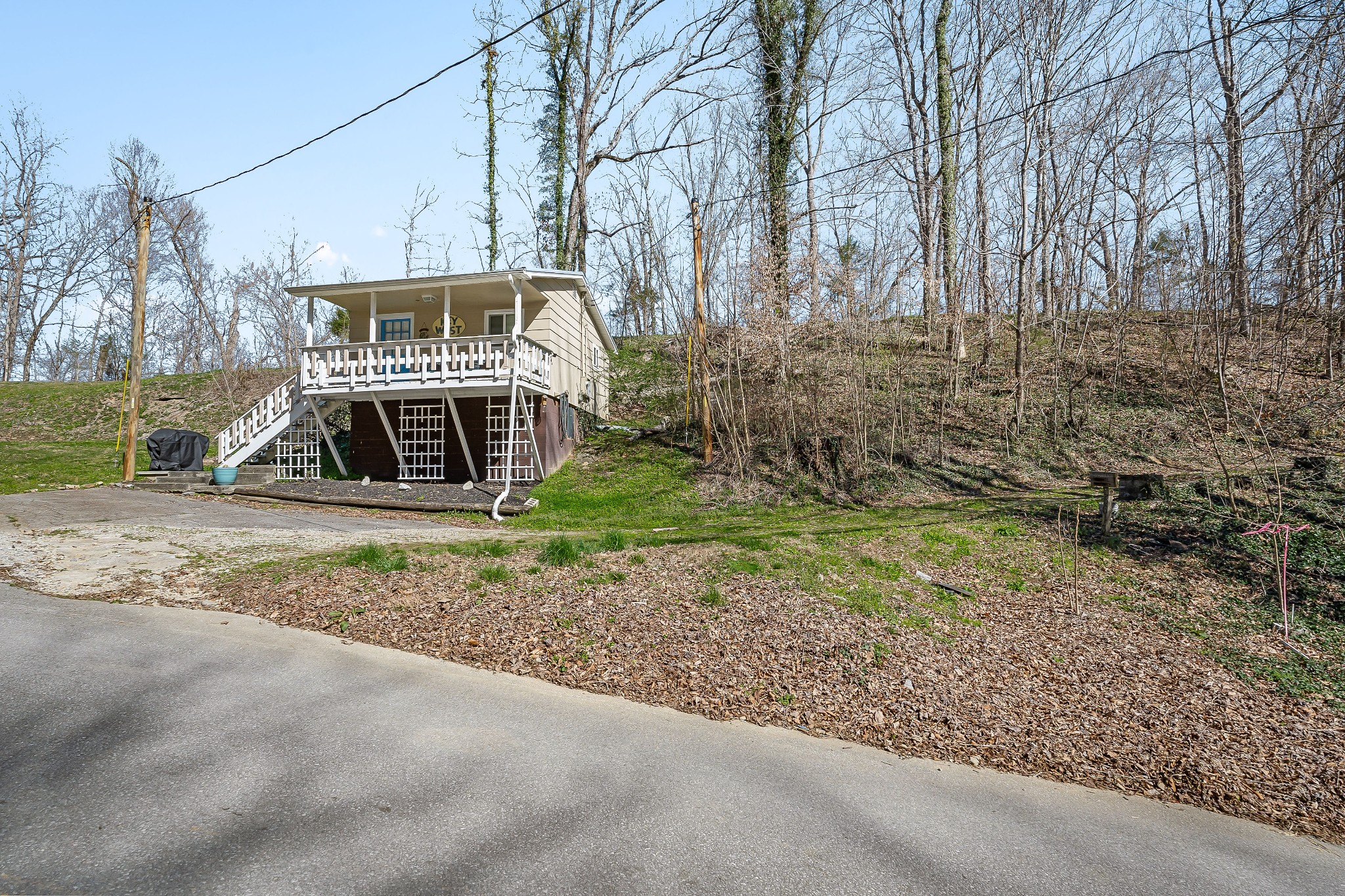 5641 Eastport Road Alpine, TN 38543 - Photo 11 of 15 a view of a backyard with large trees