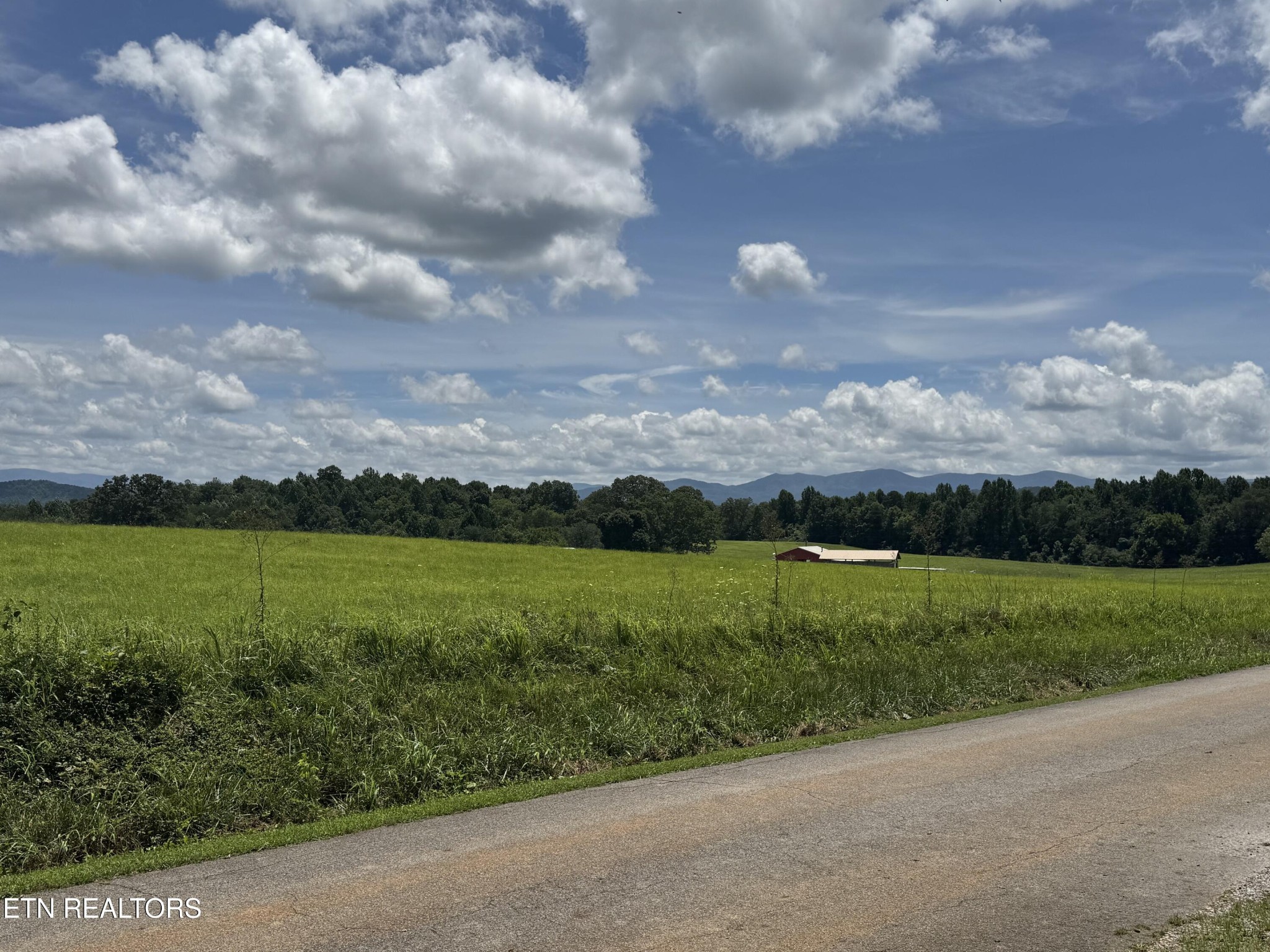 131 Lee Road Tellico Plains, TN 37385 - Photo 4 of 24 Gallery Image 4
