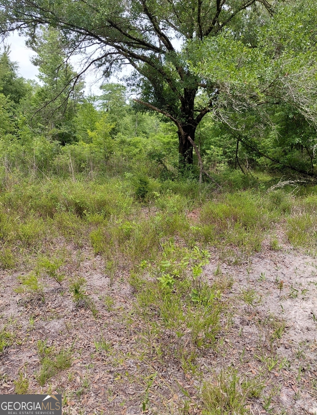 436 Russell Boulevard St. George, GA 31562 - Photo 31 of 33