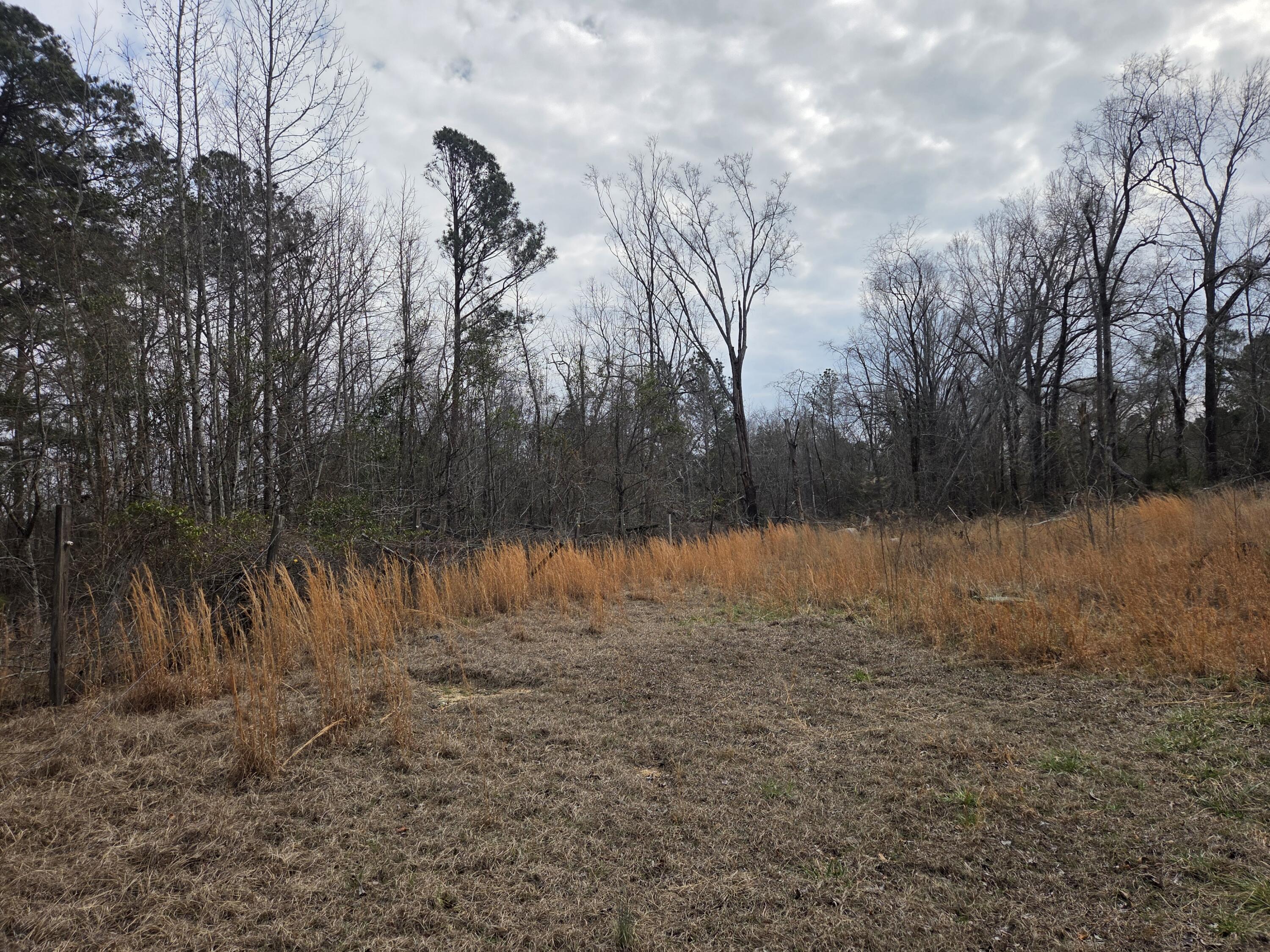 5754 Harlem Grovetown Road Grovetown, GA 30813 - Photo 9 of 19 20260130_135453