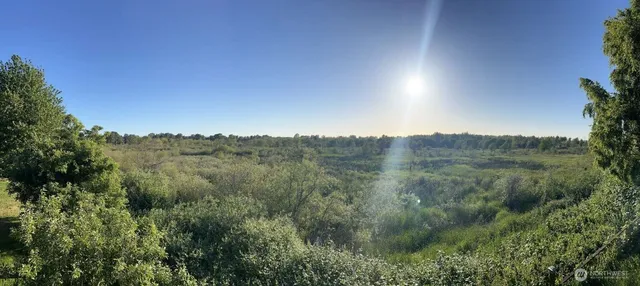 a view of a city with lush green forest