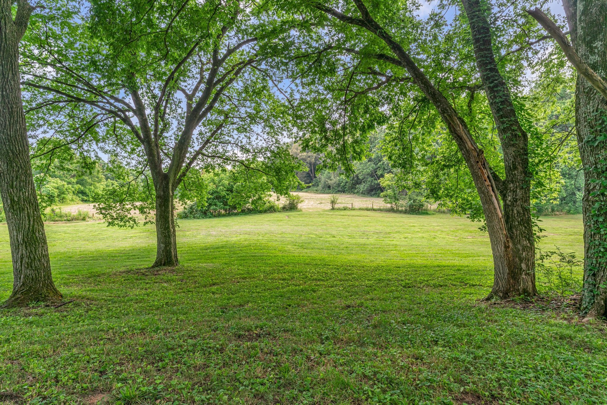 3316 Burr Road Springfield, TN 37172 - Photo 55 of 86