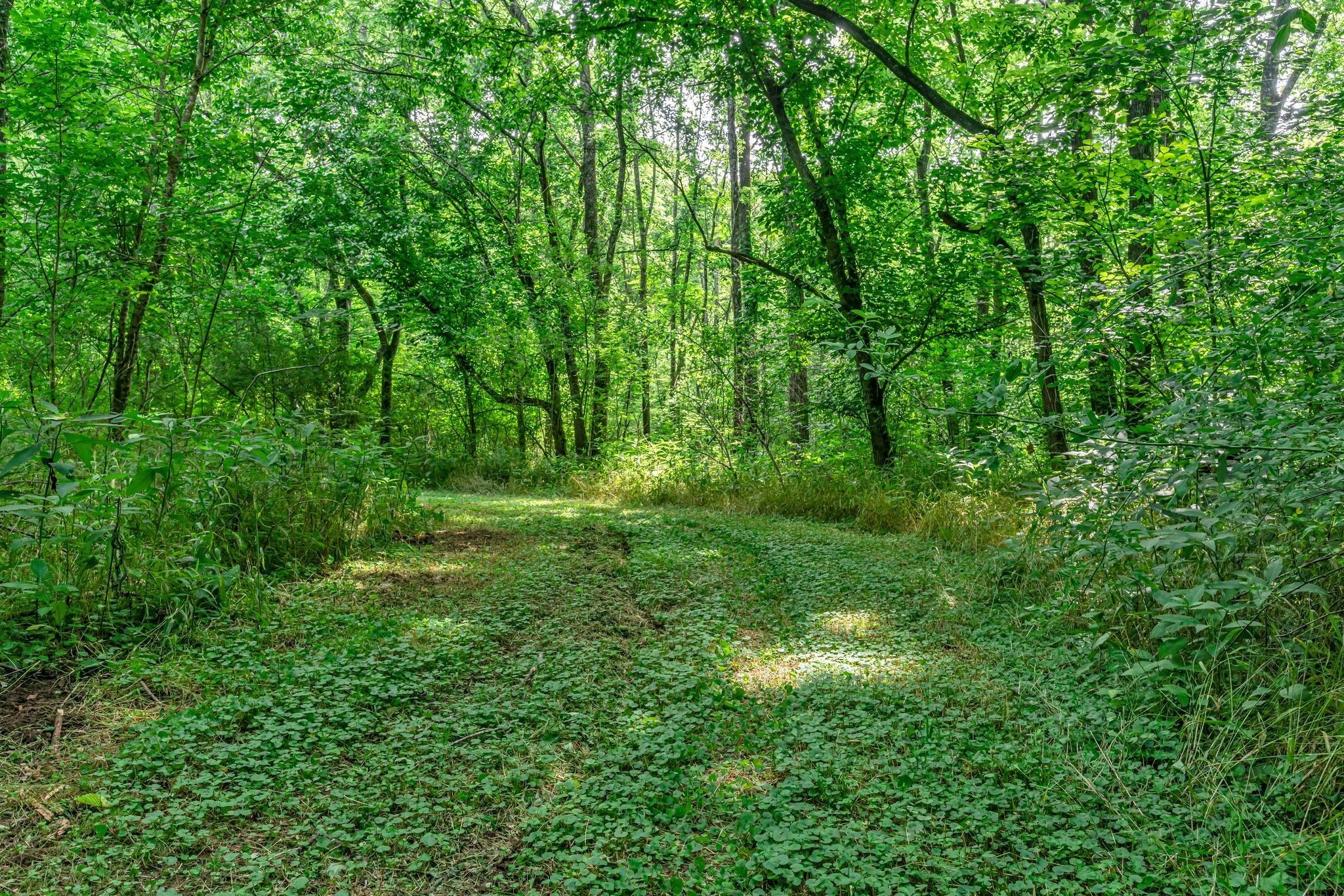 3316 Burr Road Springfield, TN 37172 - Photo 56 of 86