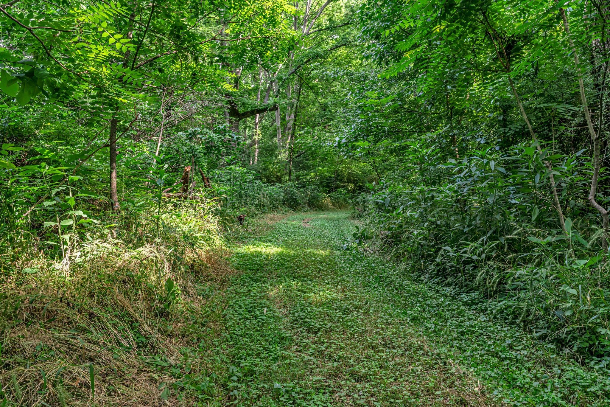 3316 Burr Road Springfield, TN 37172 - Photo 57 of 86