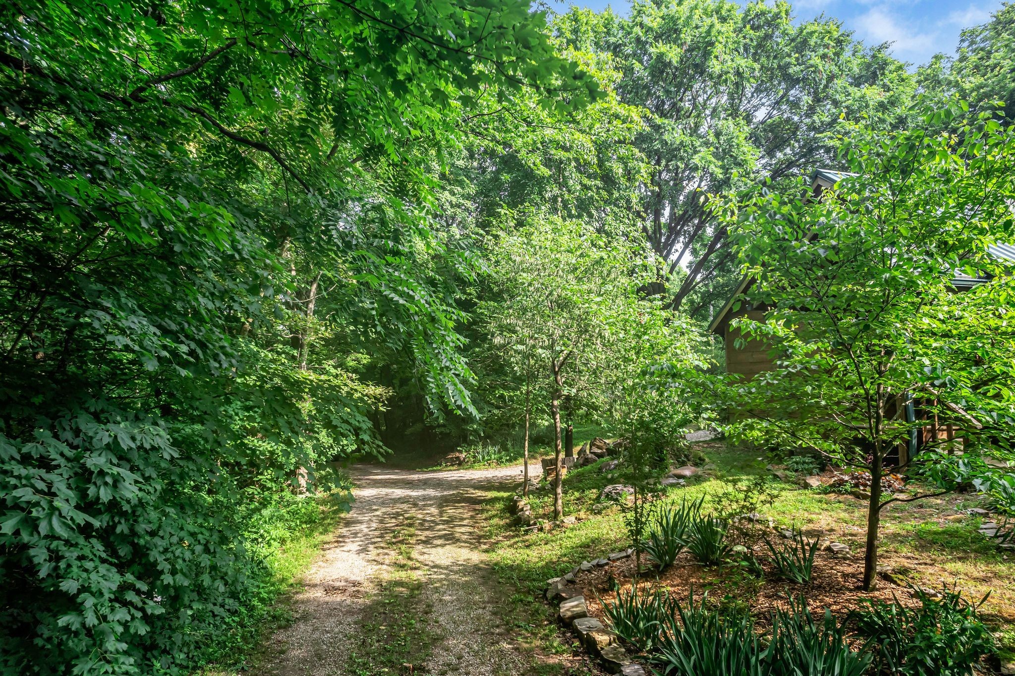 3316 Burr Road Springfield, TN 37172 - Photo 58 of 86