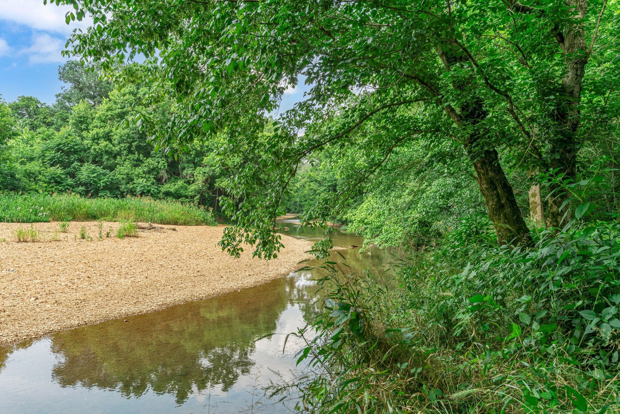 3316 Burr Road Springfield, TN 37172 - Photo 59 of 86